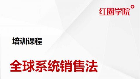 全球系统销售法——洪涛